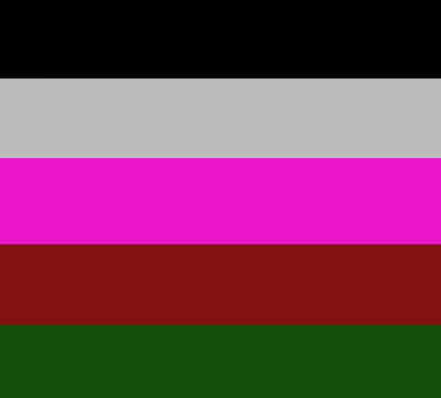 The Shape Shifter flag